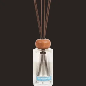 Action Woonaccessoires^Absolu Chic geurstokjes