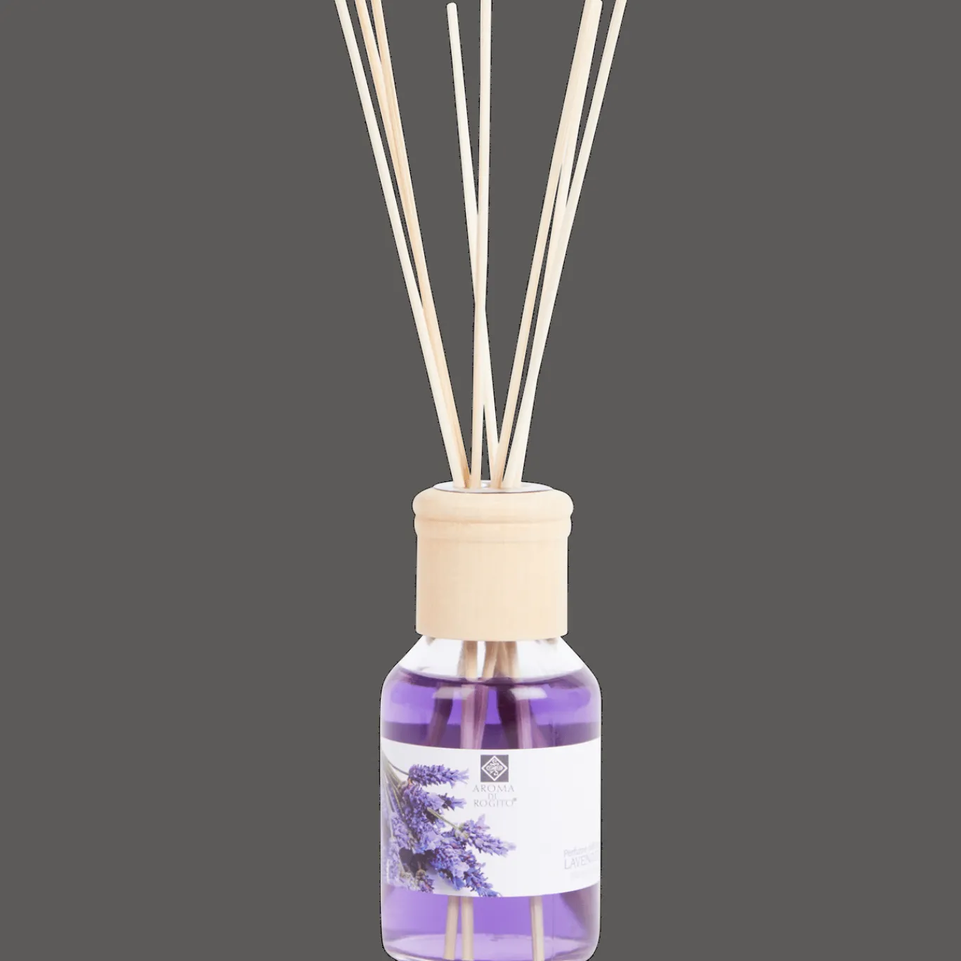 Action Woonaccessoires^Aroma di Rogito geurverspreider