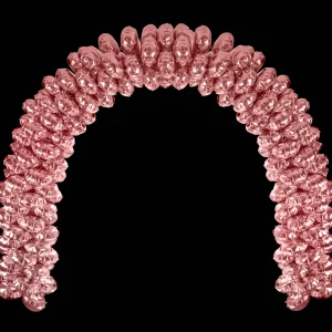 Action Feestartikelen^Avec ballonnenboog met folieballonnen