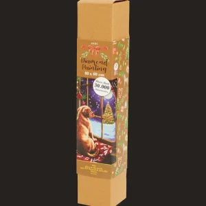 Action Knutselen^Avec kerst diamond painting