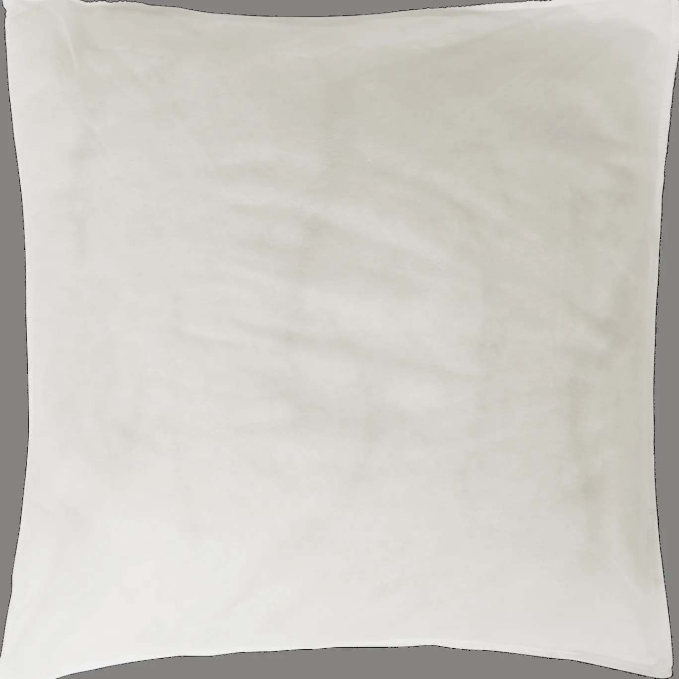 Action Kussens^Binnenkussen