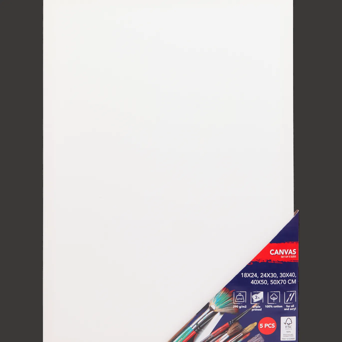 Action Schilderen^Canvasdoeken-set