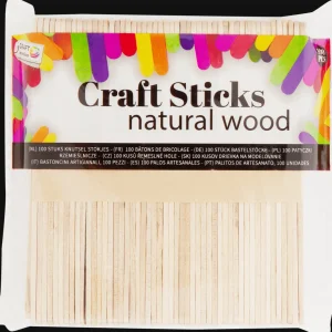 Action Knutselen^Craft Sensations ijslollystokjes