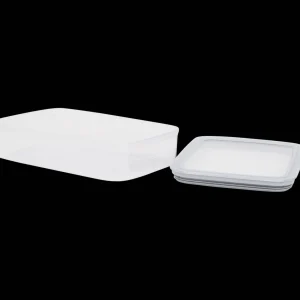 Curver Bewaren & Meenemen^vershouddoos