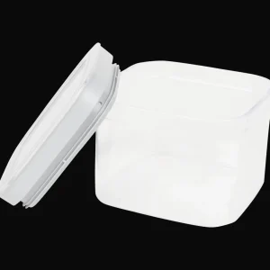 Curver Bewaren & Meenemen^vershouddoos