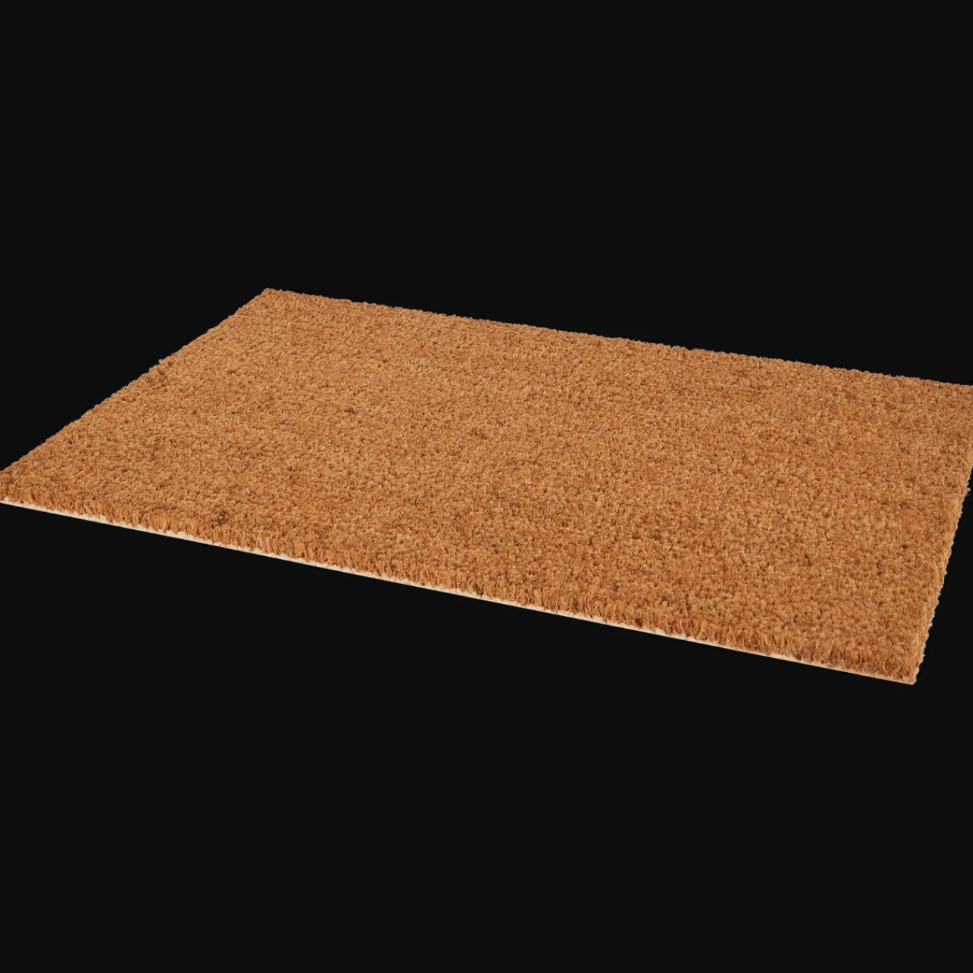 Action Woonaccessoires^Deurmat