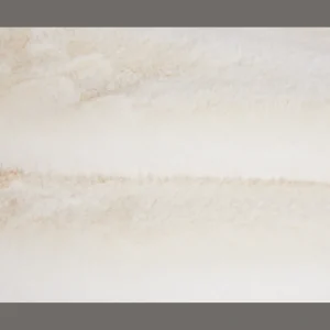 Action Woonaccessoires^Dierenvel vloerkleed