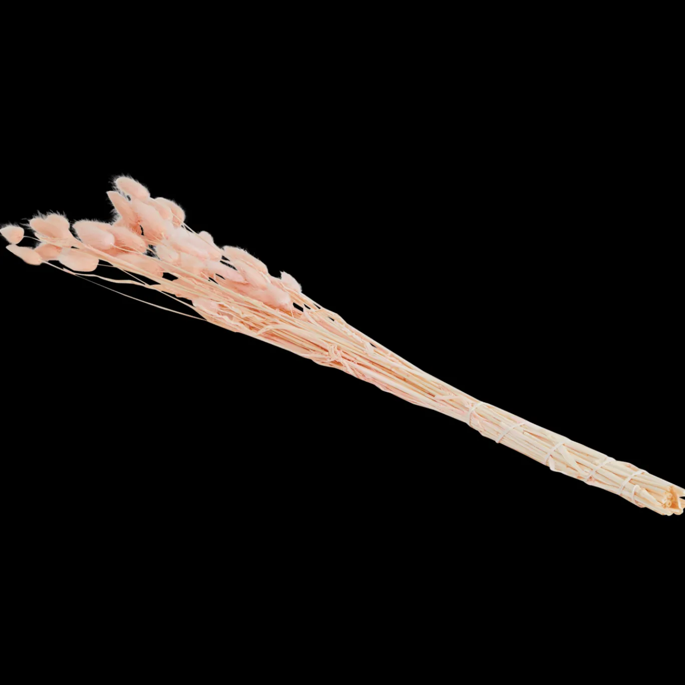 droogboeket_2-1.webp Action Zaaien & Planten^Droogboeket