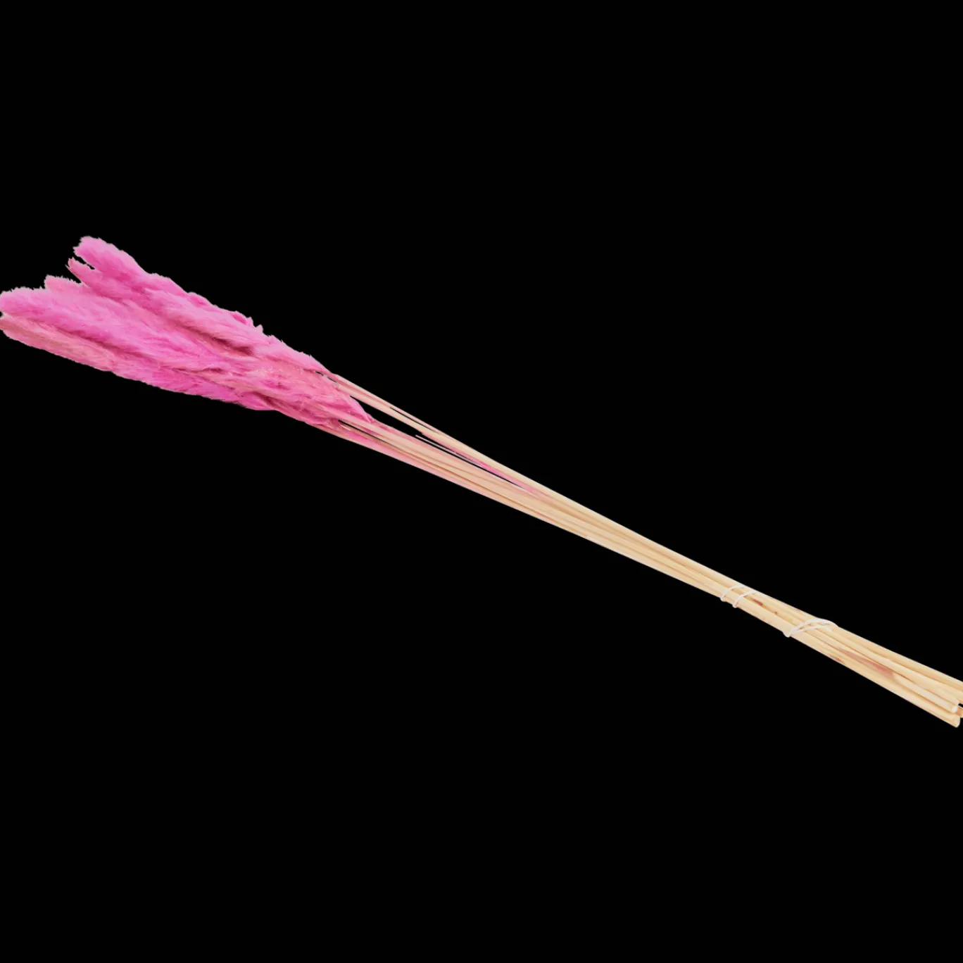 droogboeket_3-1.webp Action Zaaien & Planten^Droogboeket