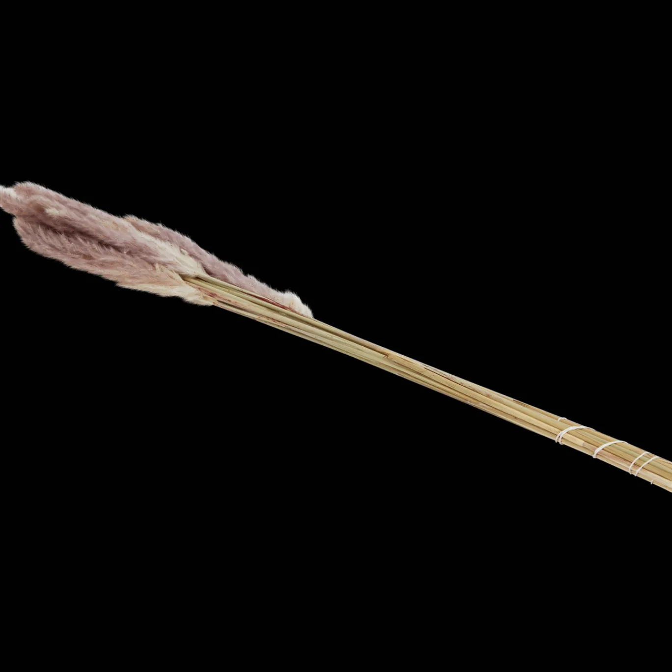 droogboeket_4.webp Action Zaaien & Planten^Droogboeket