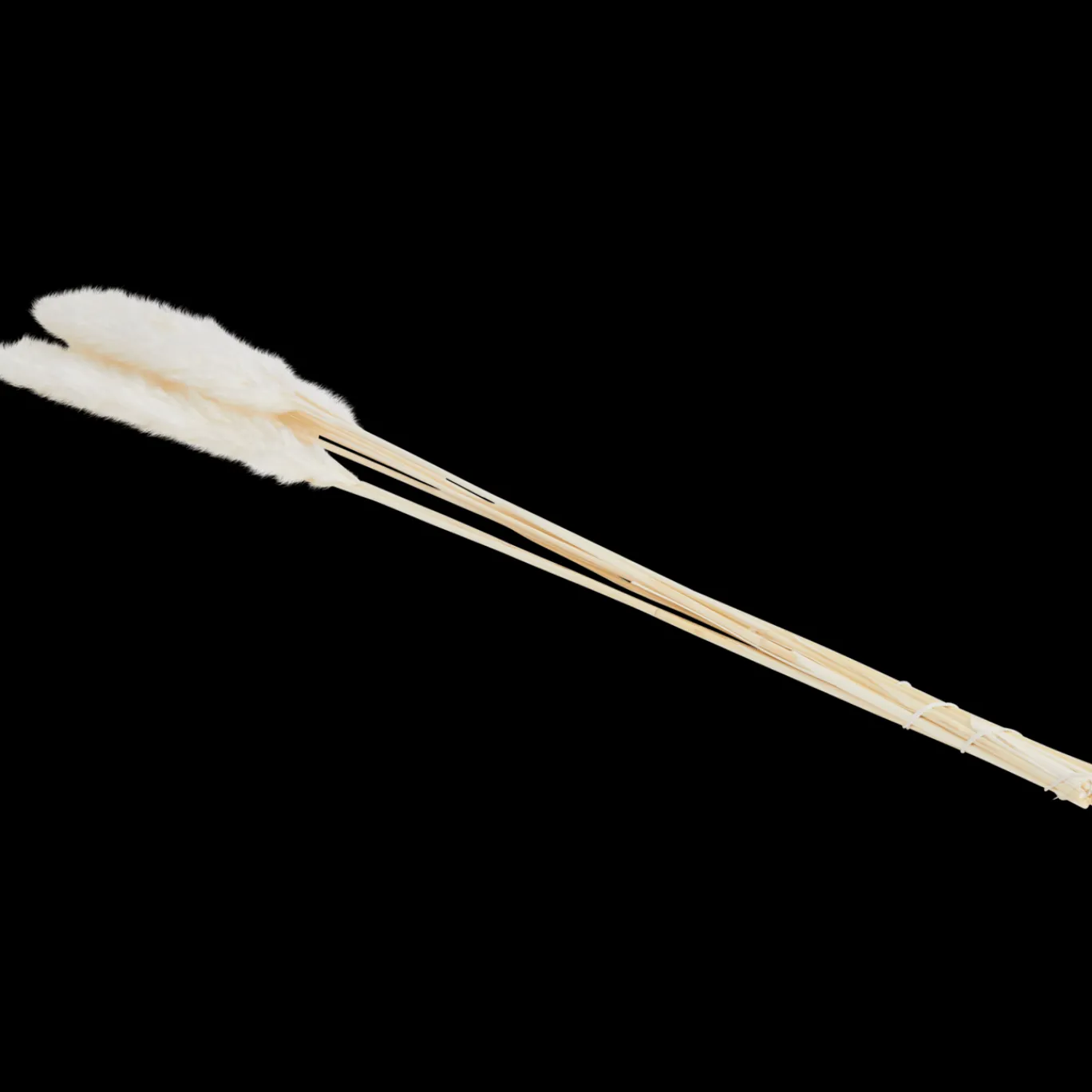 droogboeket_6.webp Action Zaaien & Planten^Droogboeket