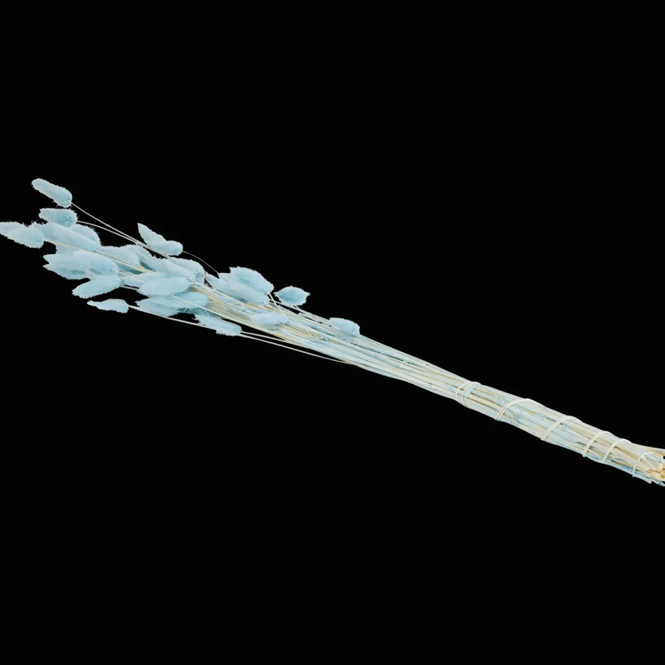 droogboeket_8.webp Action Zaaien & Planten^Droogboeket