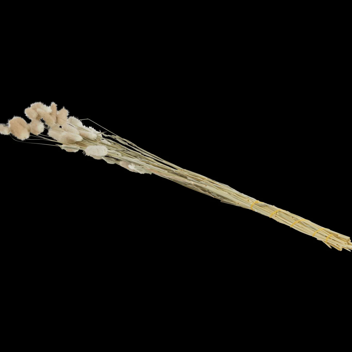 droogboeket_9.webp Action Zaaien & Planten^Droogboeket