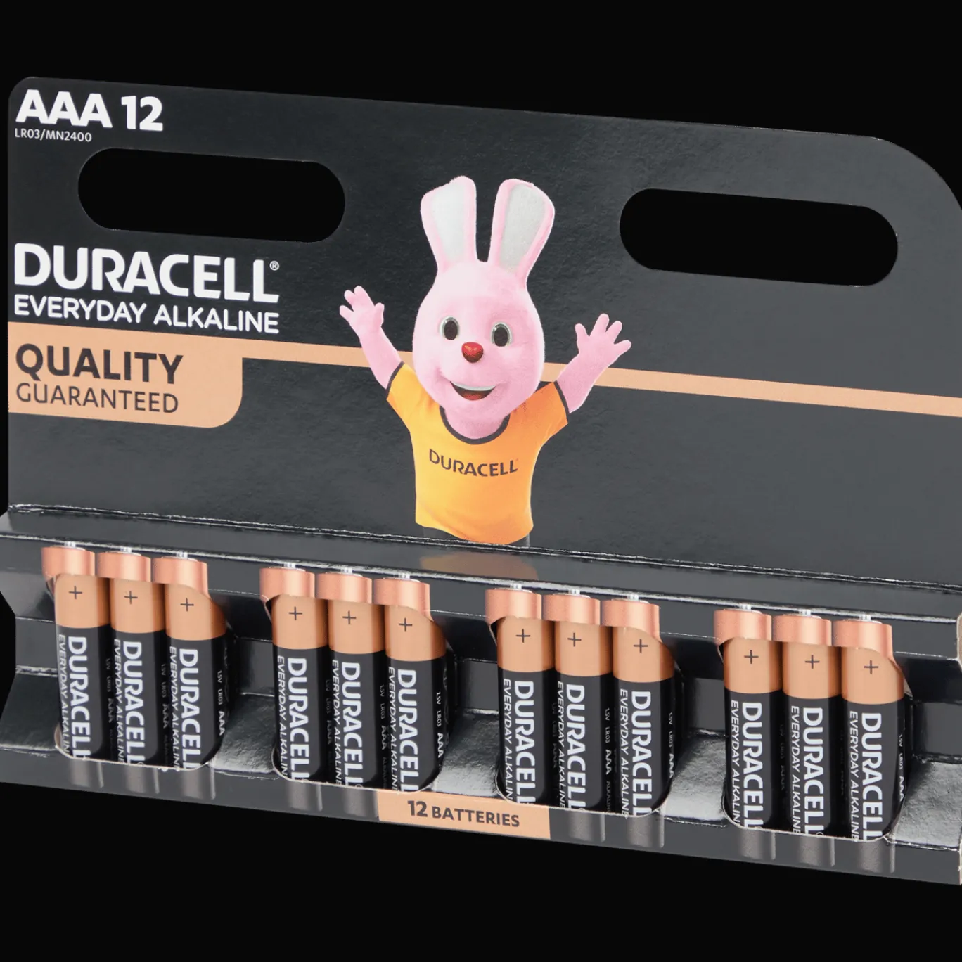 Duracell Batterijen^Everyday Alkaline batterijen AAA