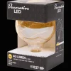 Action Verlichting^Eurodomest led-draadlamp