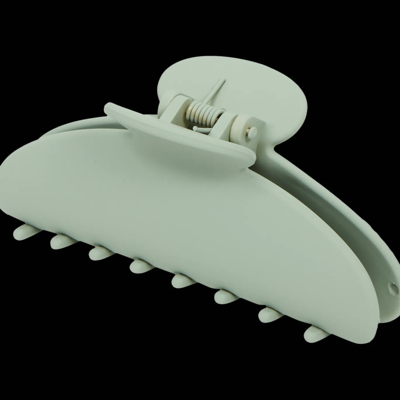 Action Haaraccessoires^Fancy haarklem