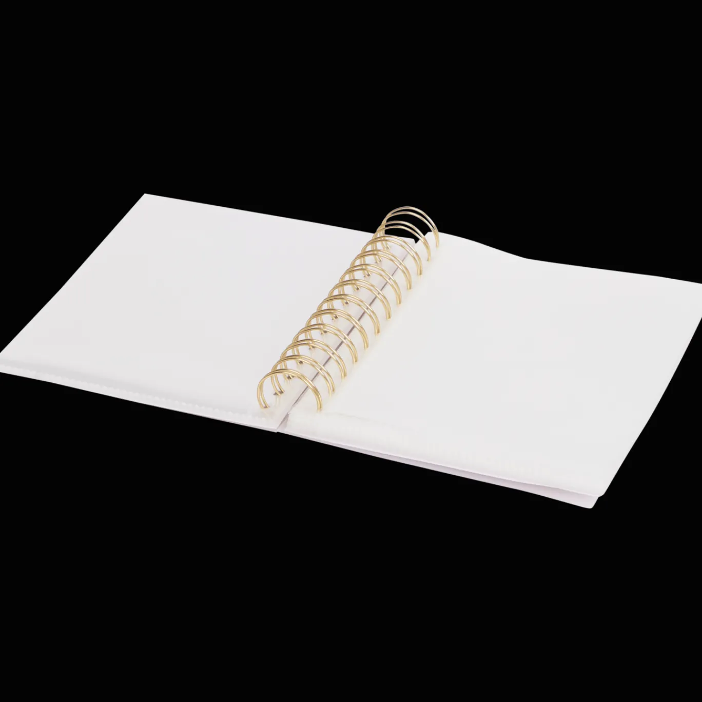 Action Fotoalbums^Fotoalbum met insteekhoezen