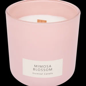 Action Kaarsen^Geurkaars