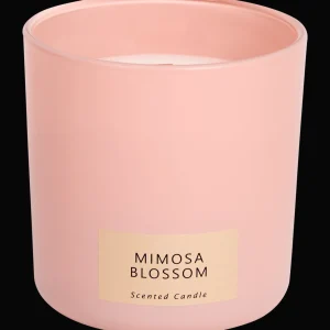 Action Kaarsen^Geurkaars in glas