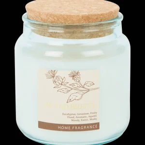 Action Kaarsen^Geurkaars in glas