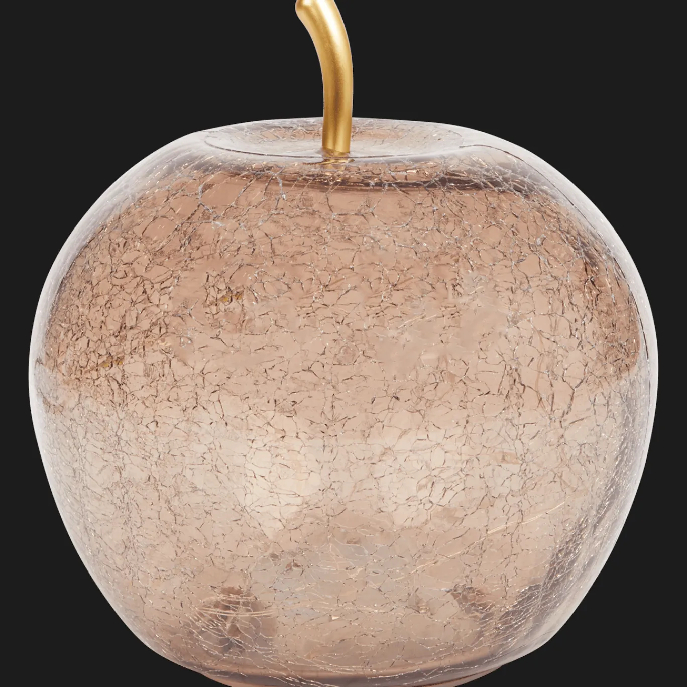 Action Woonaccessoires^Glazen appel met ledlicht