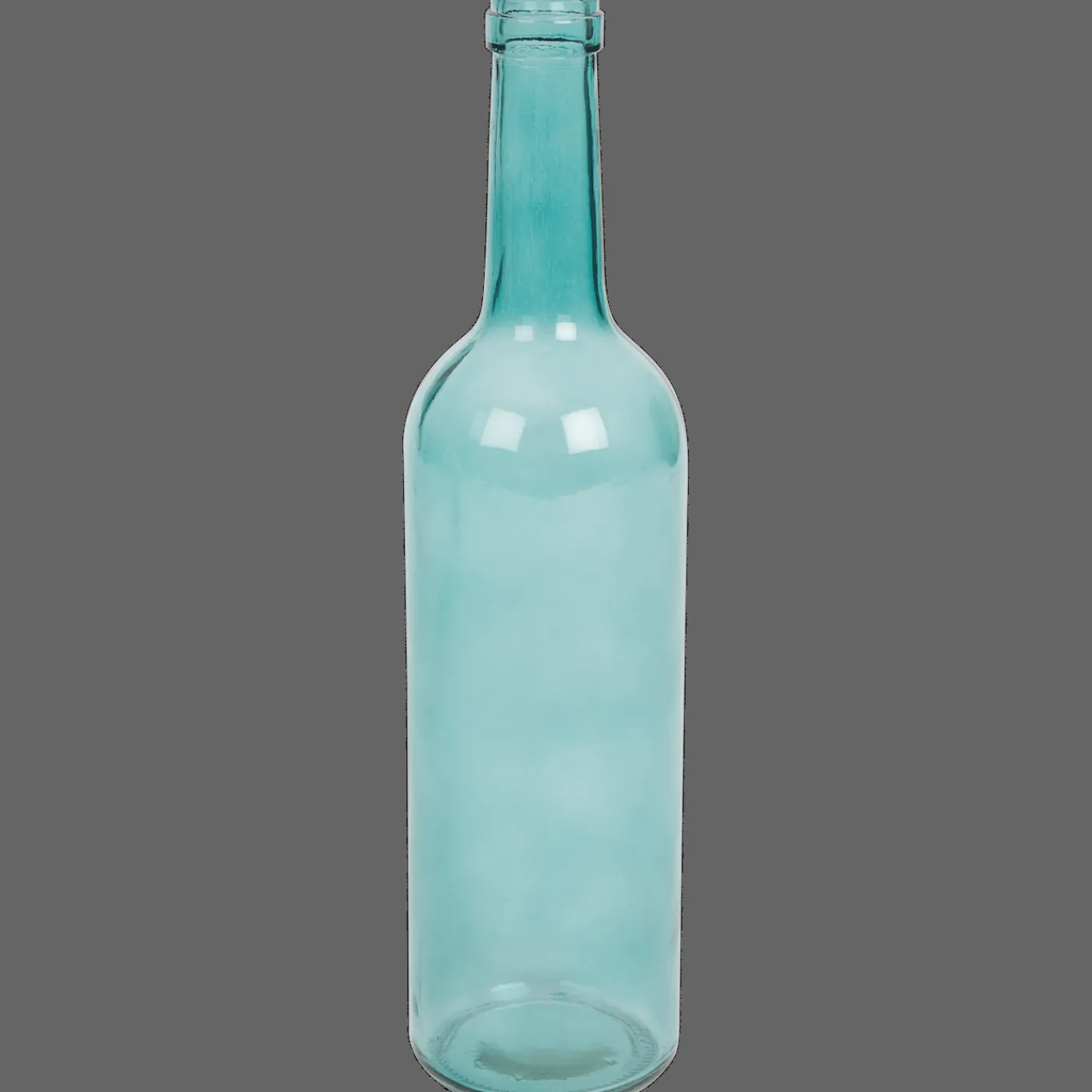 Action Potten & Vazen^Glazen fles Marion