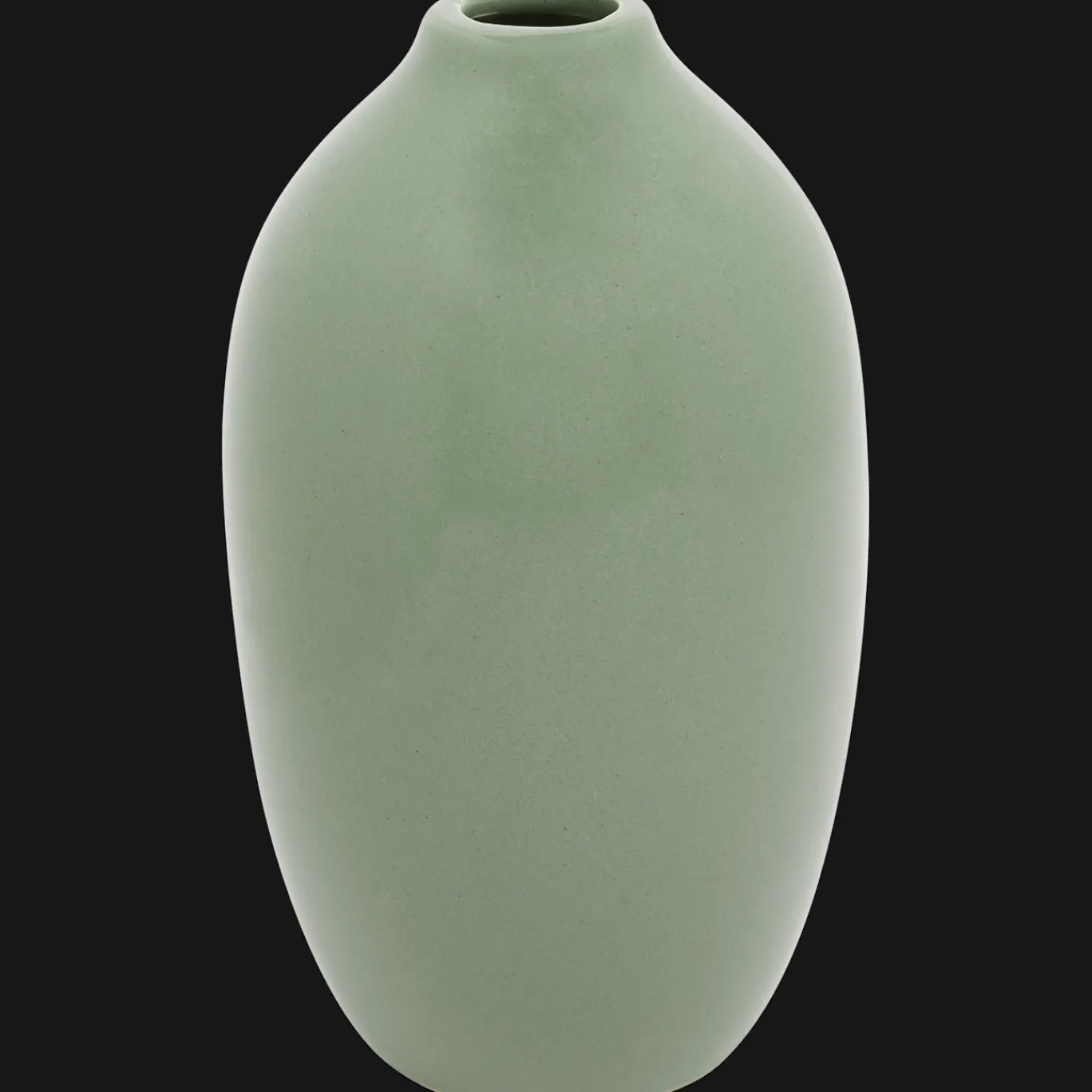 Action Potten & Vazen^Home Accents vaas Diana