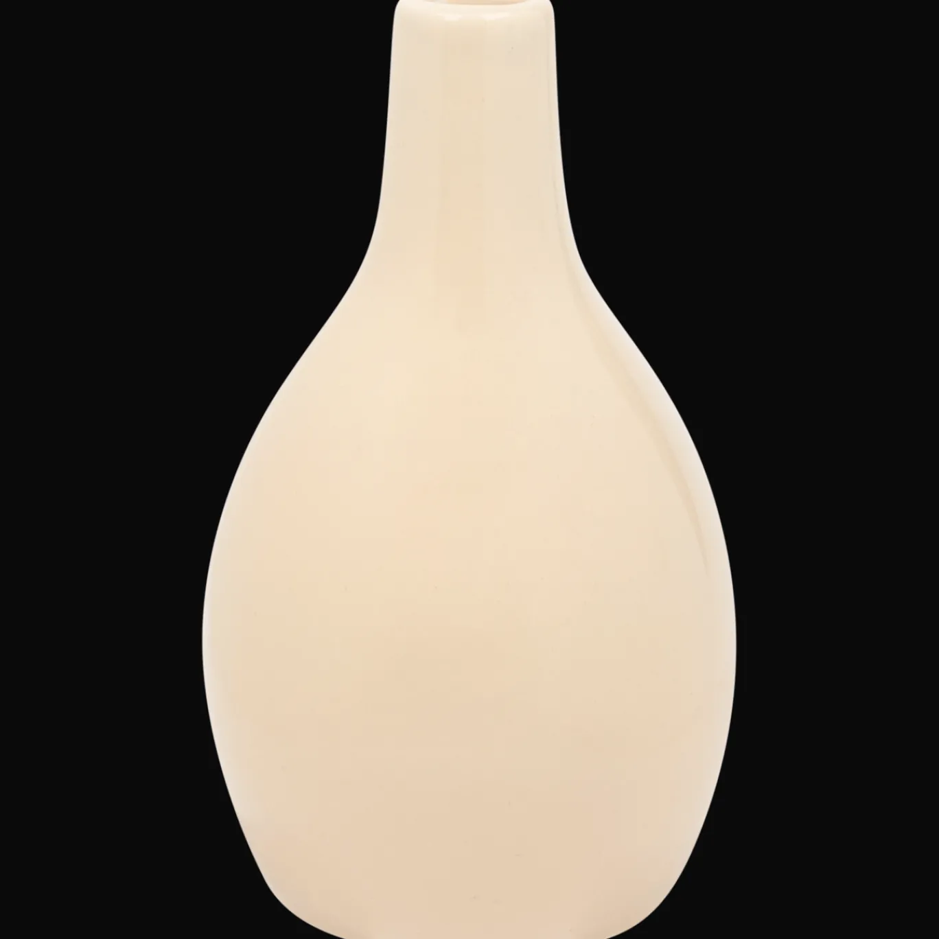 Action Potten & Vazen^Home Accents vaas Diana