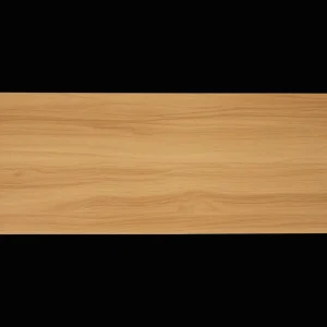 Action Woonaccessoires^Home Accents zwevende wandplank