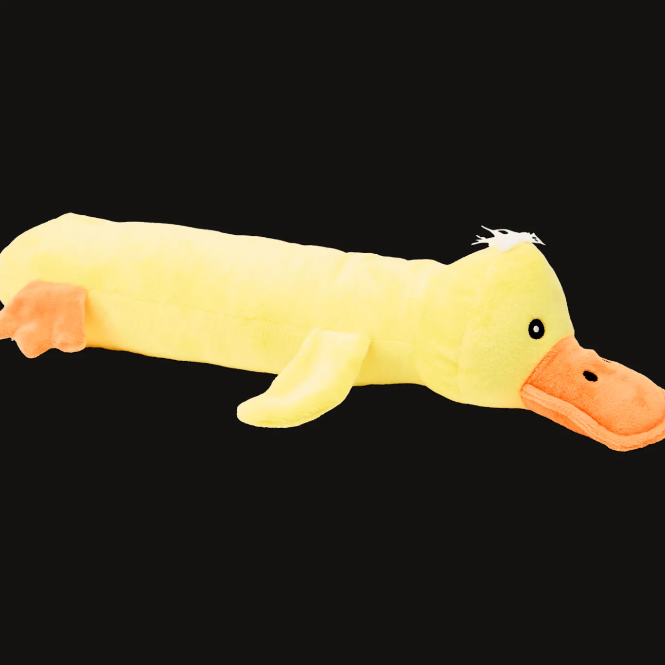 Action Speeltjes^Hondenspeeltje