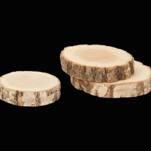 Action Woonaccessoires^Houten schijven