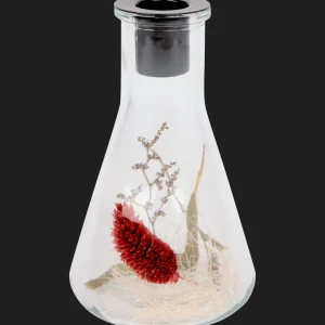 Action Kaarsenhouders^Kaarsenhouder met droogbloemen