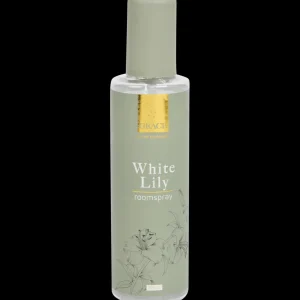 Action Parfum^Kamerspray