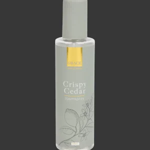 Action Parfum^Kamerspray