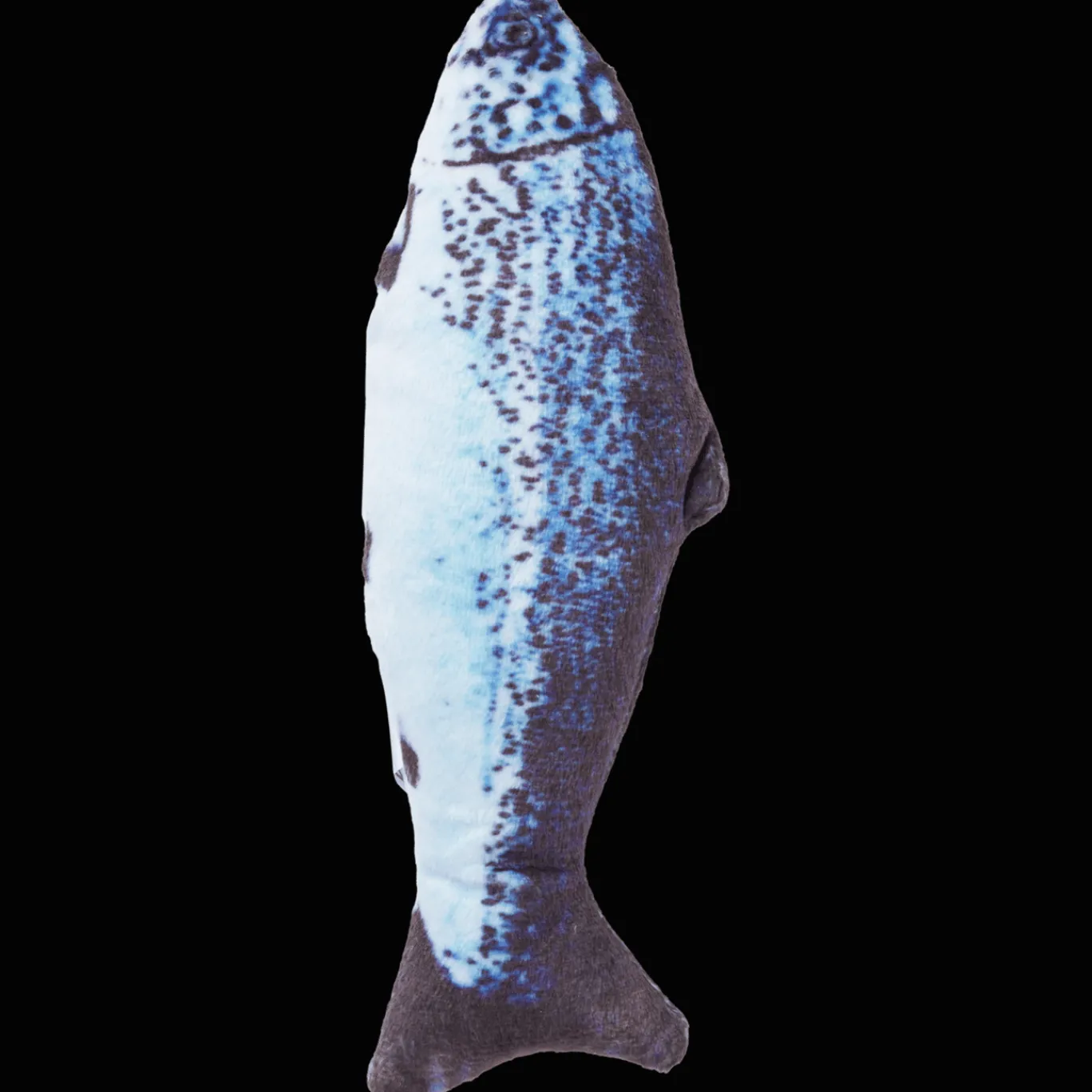 Action Speeltjes^Kattenspeelgoed