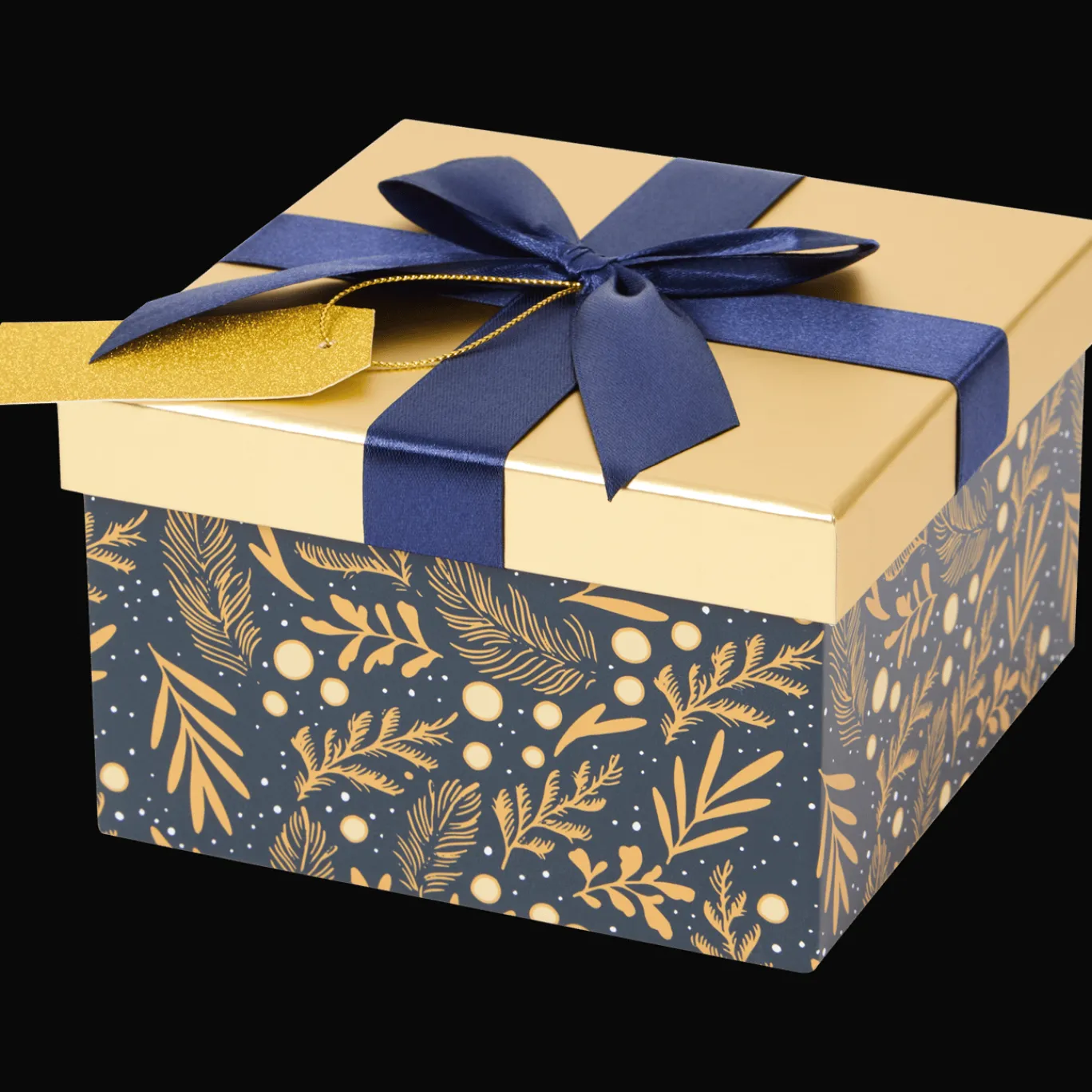 Action Inpakken^Kerst cadeaudoos