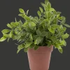Action Kunstplanten & -Bloemen^Kruidenplant in pot