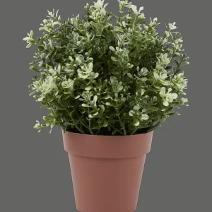 Action Kunstplanten & -Bloemen^Kruidenplant in pot