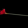 Action Kunstplanten & -Bloemen^Kunstamaryllis op steel