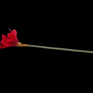Action Kunstplanten & -Bloemen^Kunstamaryllis op steel