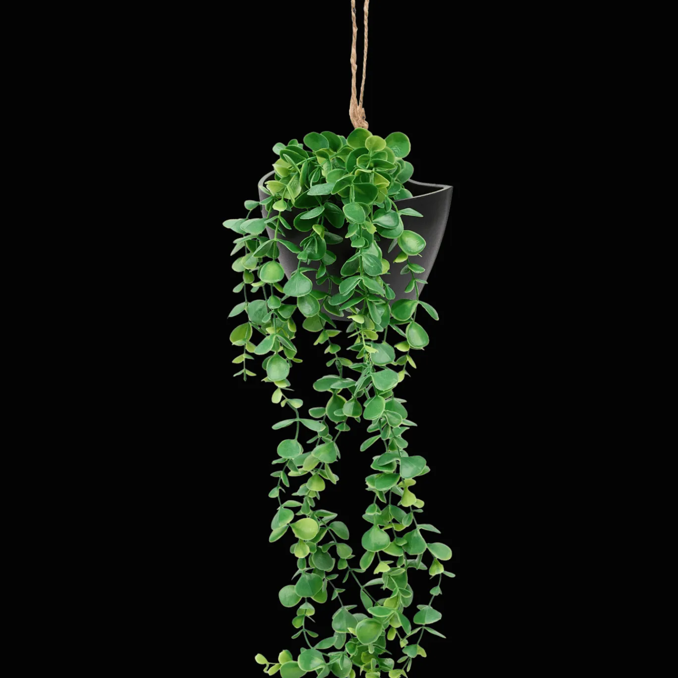 Action Kunstplanten & -Bloemen^Kunsthangplant