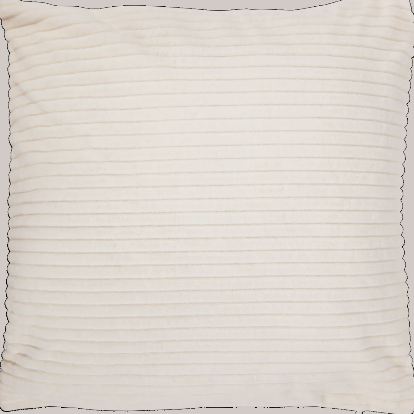 Action Kussens^Kussenhoes