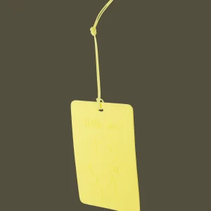 Little Joe Auto Accessoires^geurkaart