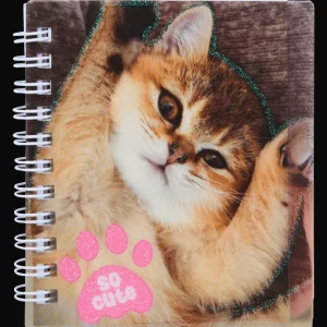 Action Papier & Schriften^Mini-notitieboekje