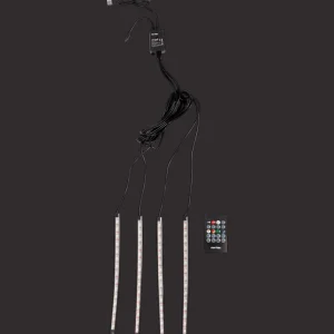 Action Verlichting^Nor-Tec ledlampjes voor in de auto