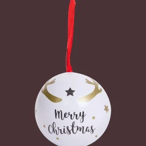 Action Bewaren & Meenemen^Opbergblikje kersthanger