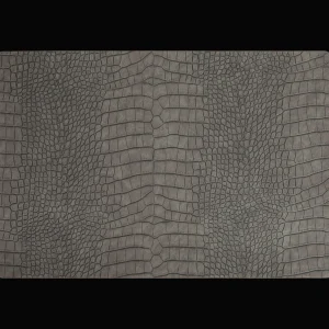 Action Woonaccessoires^Placemat