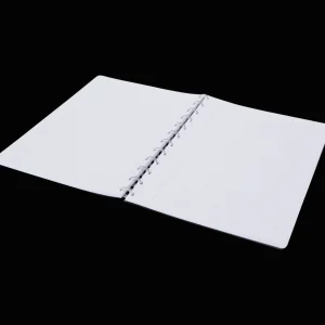 Action Papier & Schriften^Ringschrift A4