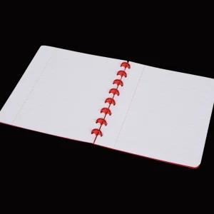 Action Papier & Schriften^Ringschrift A5