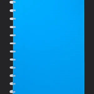 Action Papier & Schriften^Ringschrift A4